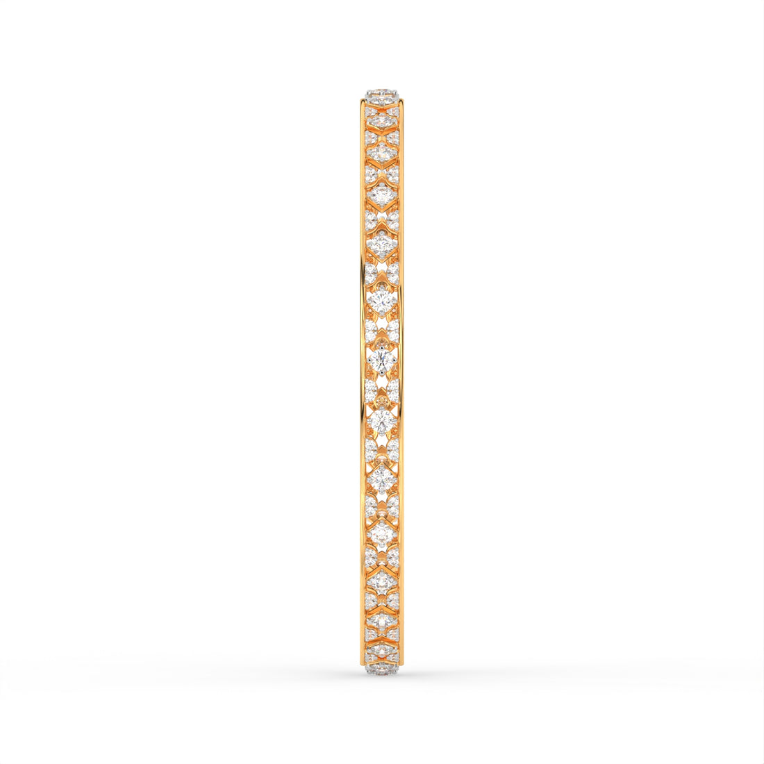 VARNIKA BANGLE